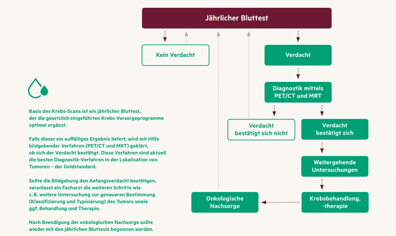 Infografik HanseMerkur Krebs-Scan